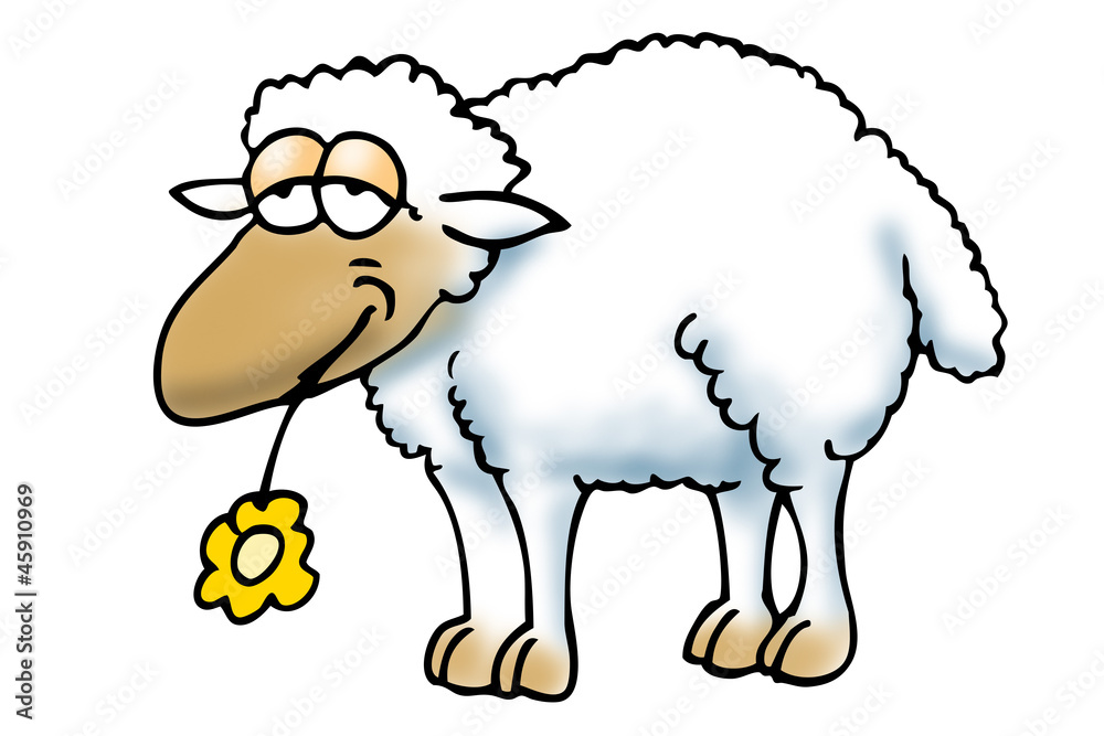 Fototapeta premium Schaf