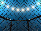 Fight cage and floodlights , 3d illustration