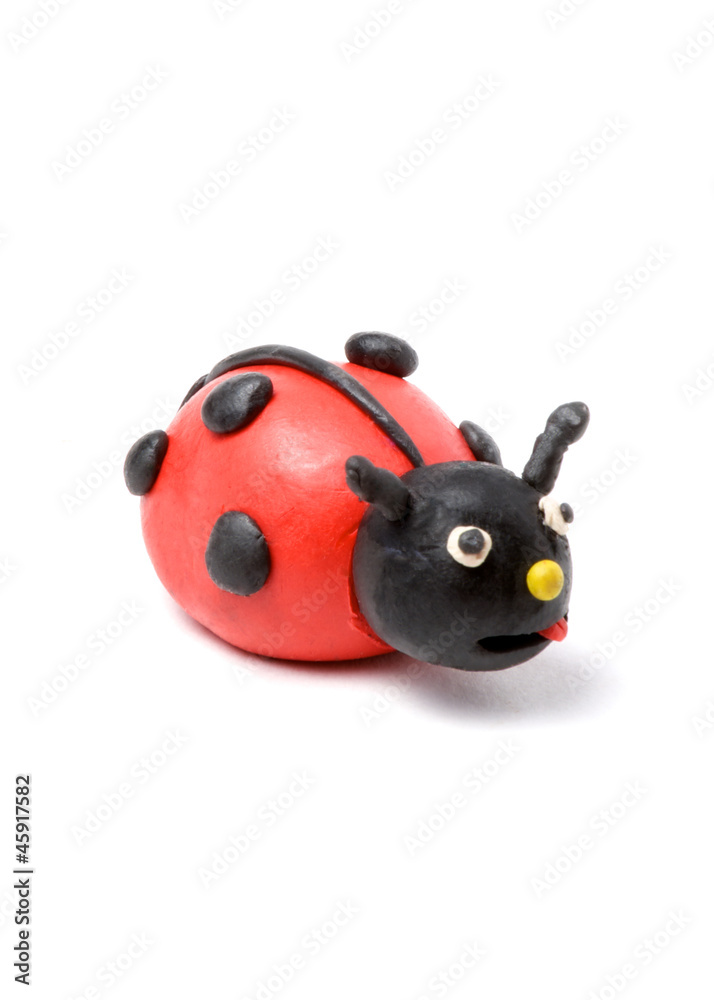 Obraz premium ladybird