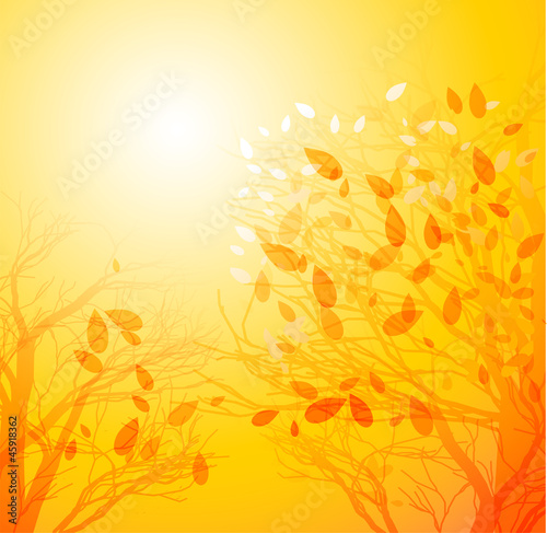 Autumn background