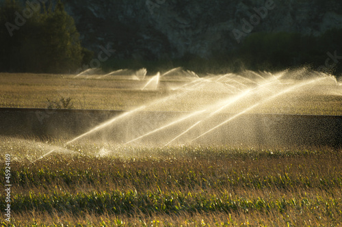 Irrigation systems on sunset