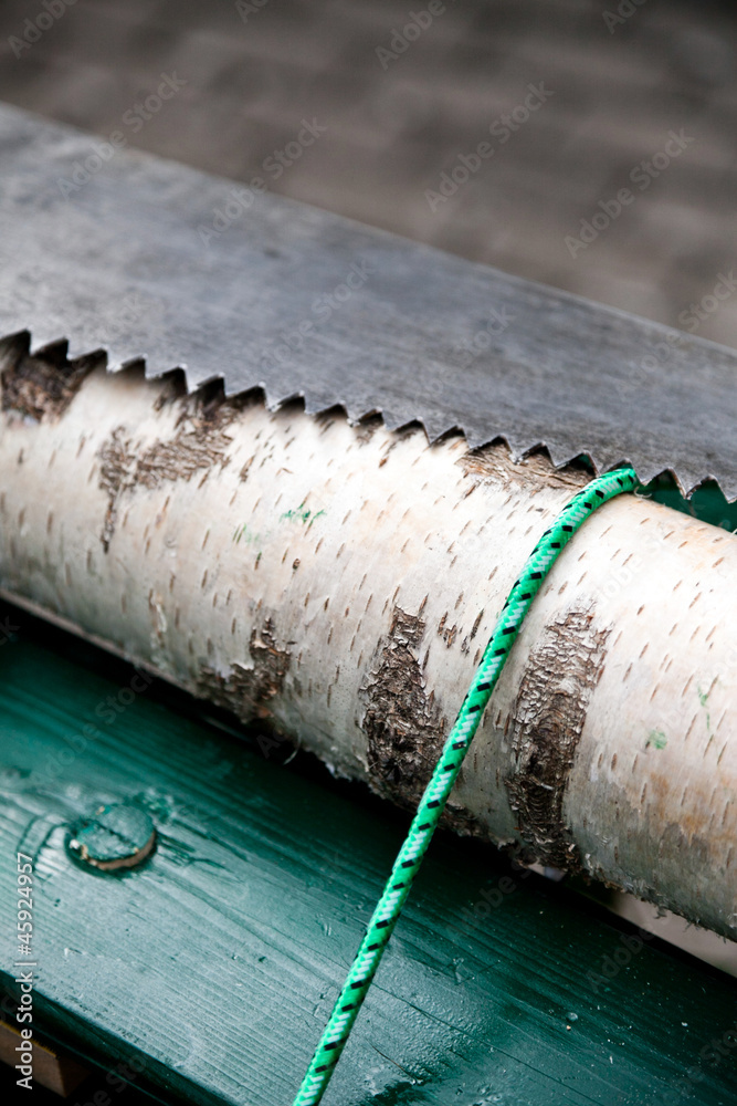 custom made wallpaper toronto digitalBirkenstamm und Säge