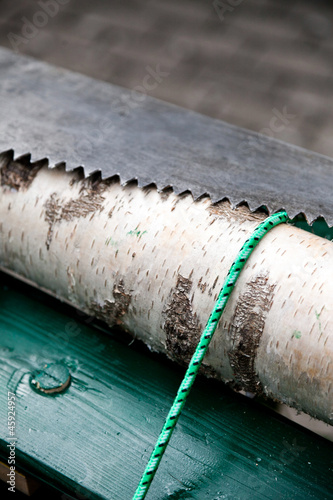 Wallpaper Mural Birkenstamm und Säge Torontodigital.ca