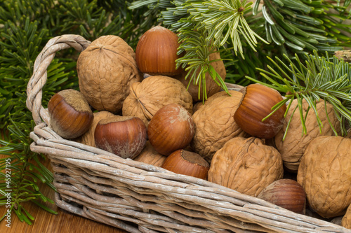 Korb mit Nüssen und Tannenzweige photo