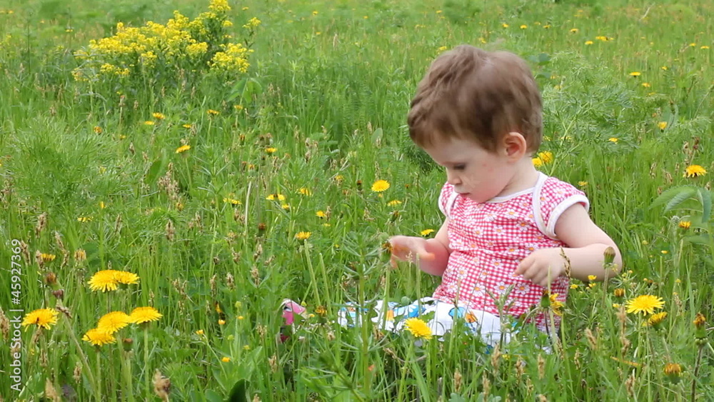 Baby with dandelions on green spring lawn Baby with dandelions on green spring lawn