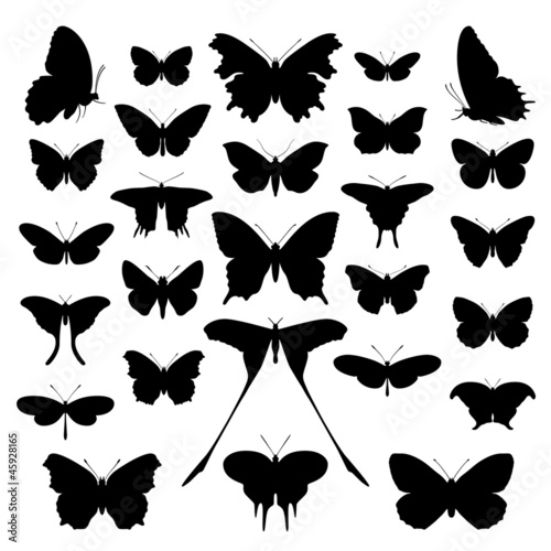 Butterflies silhouette set. Vector.