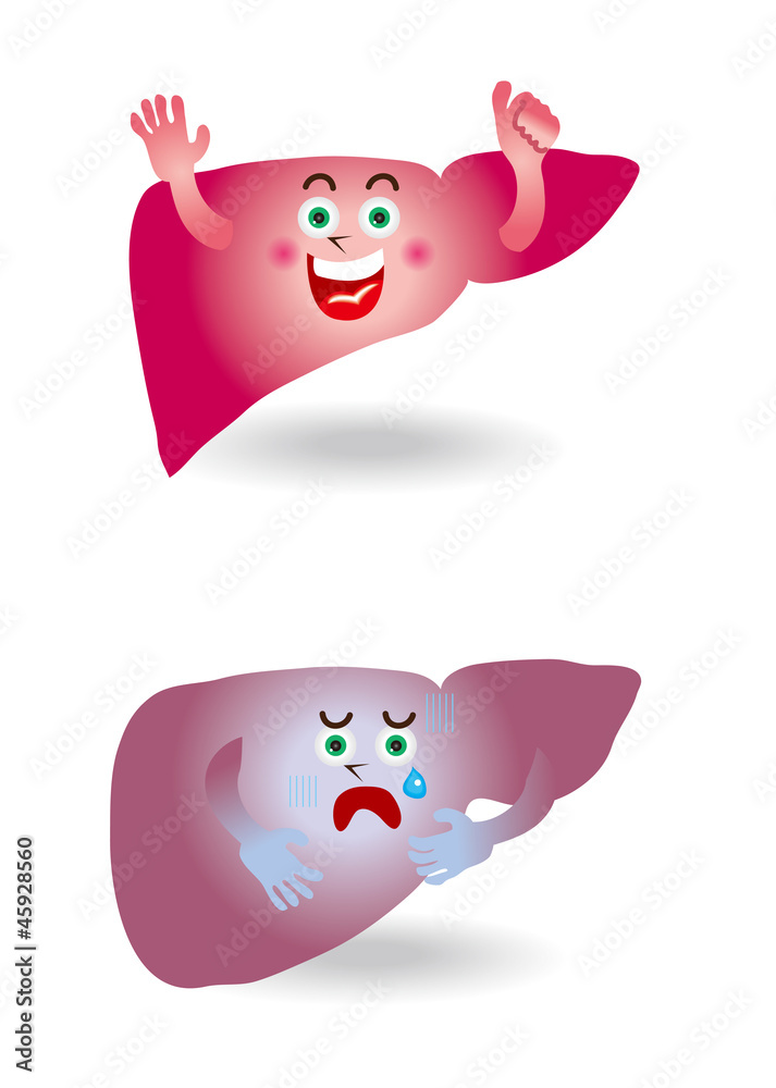 肝臓のキャラクターイラスト Stock Vector Adobe Stock