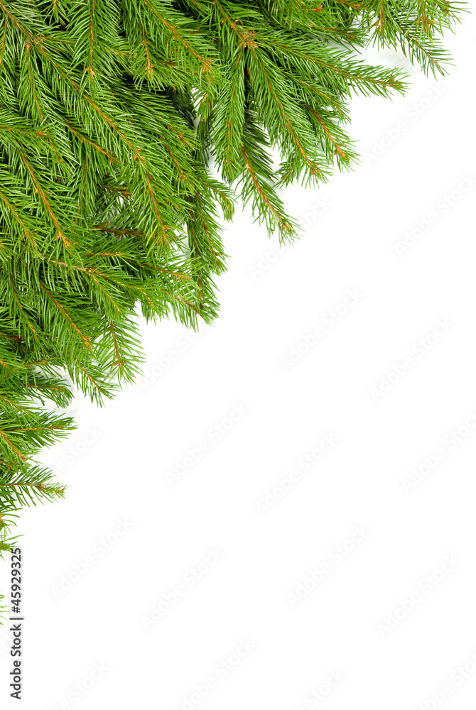 Fototapeta premium Christmas background. Eve framework