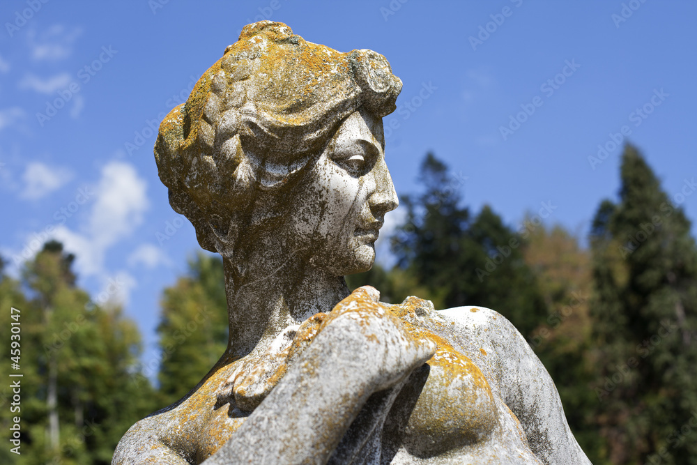 Fototapeta premium beautiful stone statue