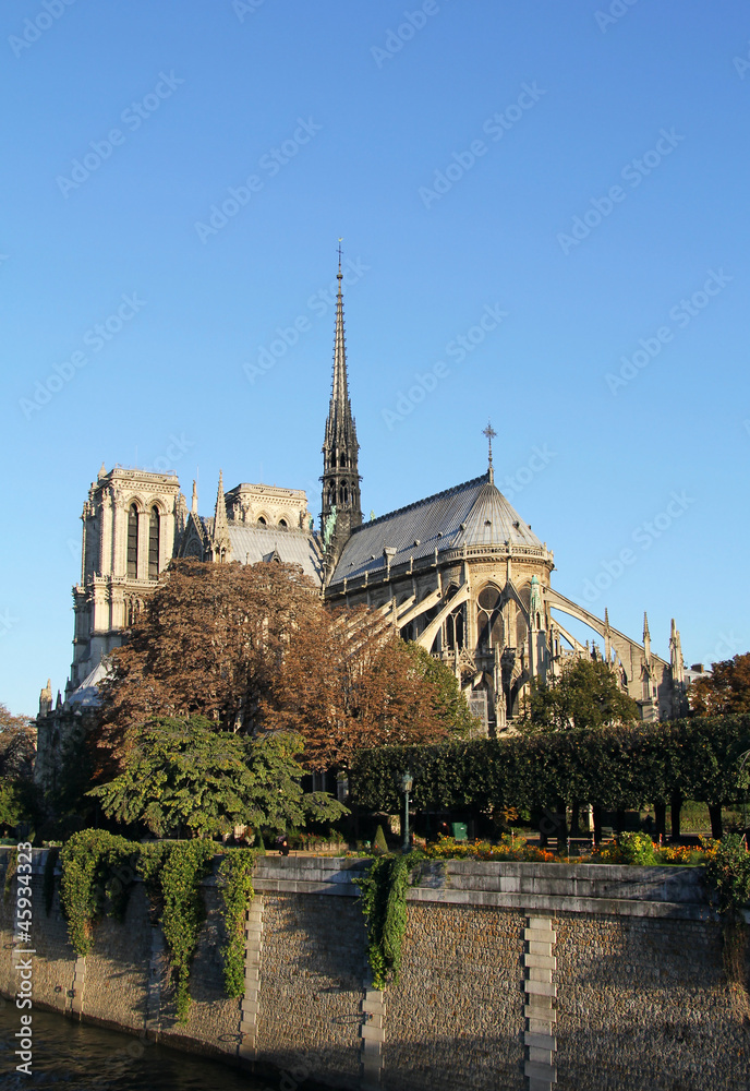Notre Dame at sunrise