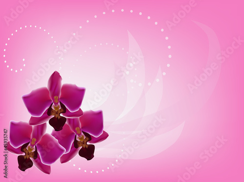 three dark pink orchid flowers decoration