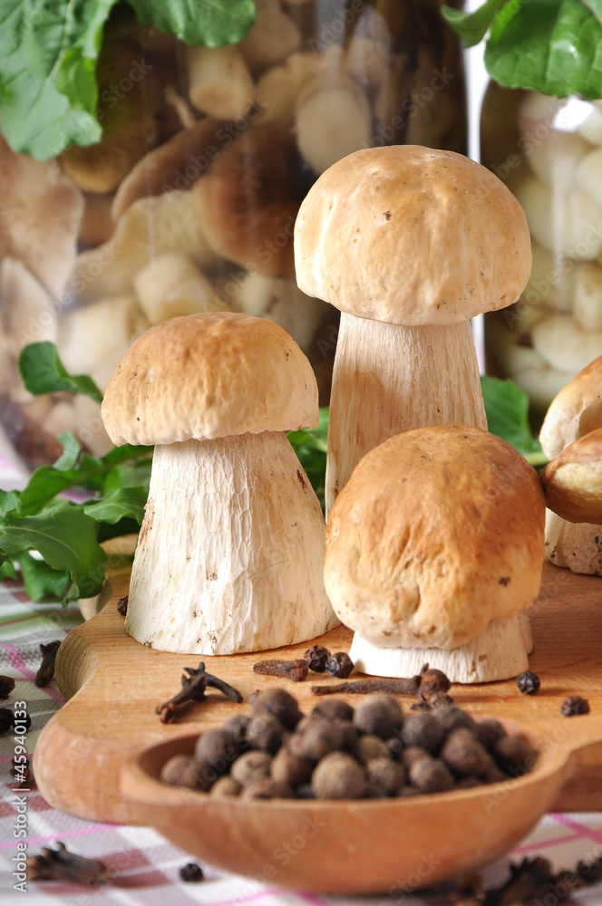 boletus on wooden cutting board, spices, oil and spoon boletus on wooden cutting board, spices, oil and spoon