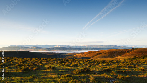 meadows and blue sky at dawn