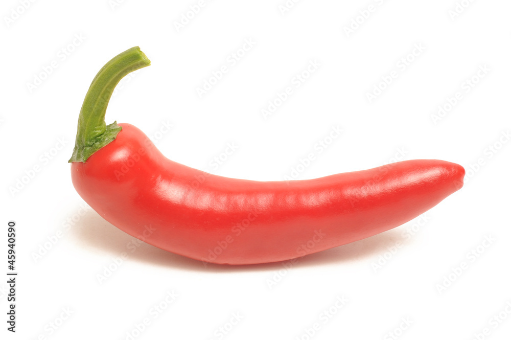 Chilli pepper