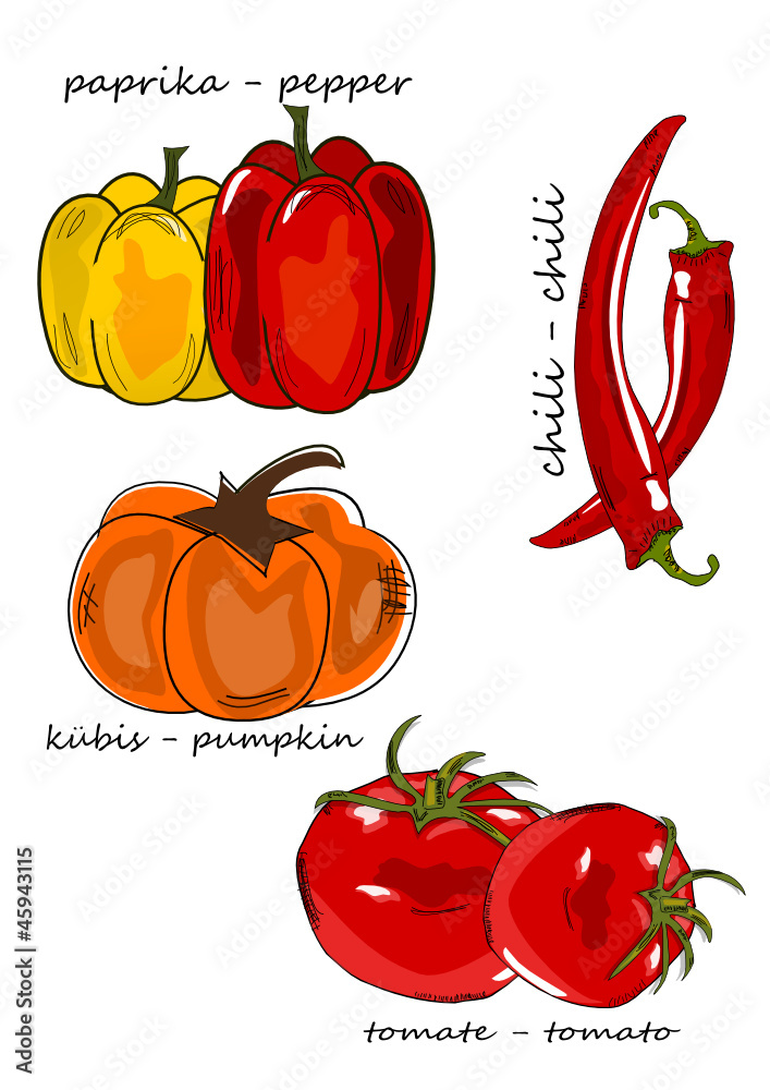 Gemüse, Vegetables  Illustration