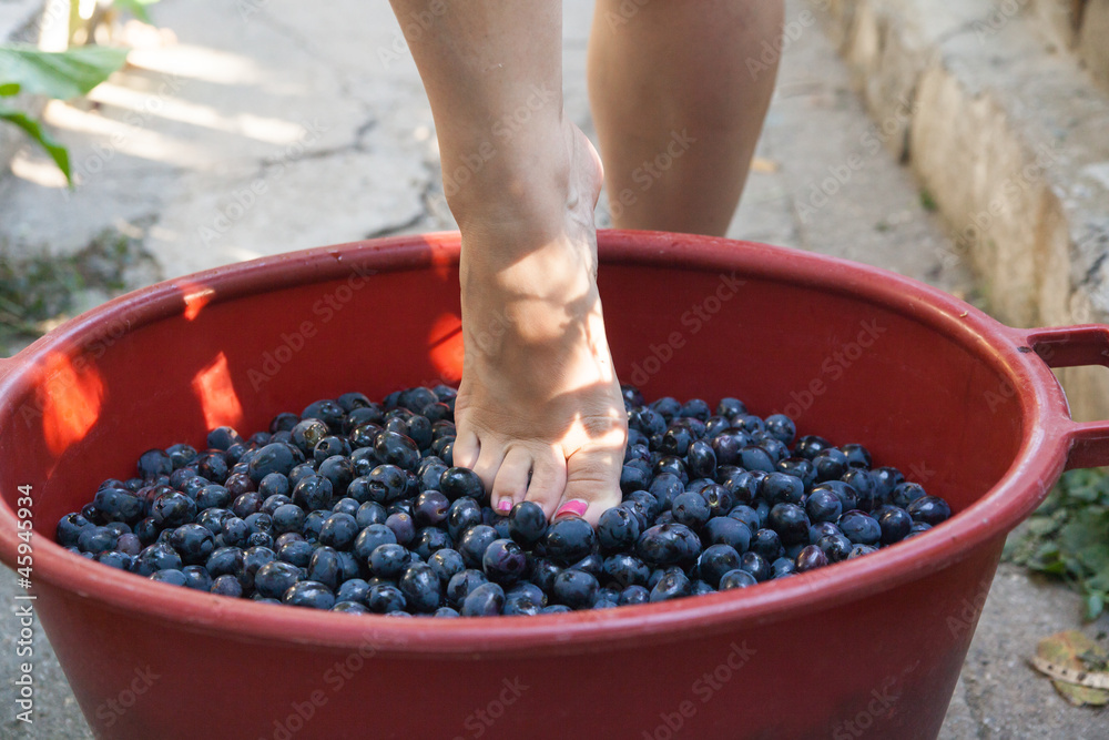 Female feet crushing grapes to make wine Female feet crushing grapes to make wine
