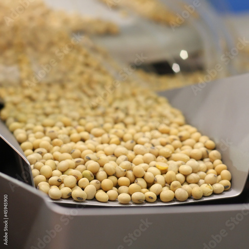 Closeup of soybean production in the rails