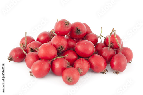 hawthorn