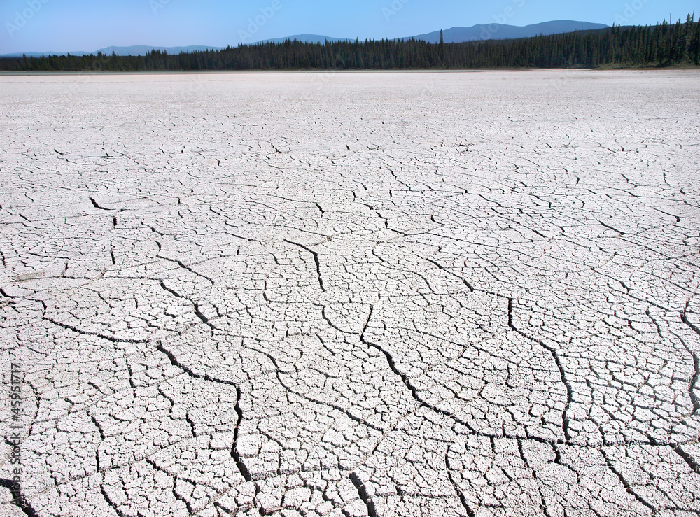 Cracked earth