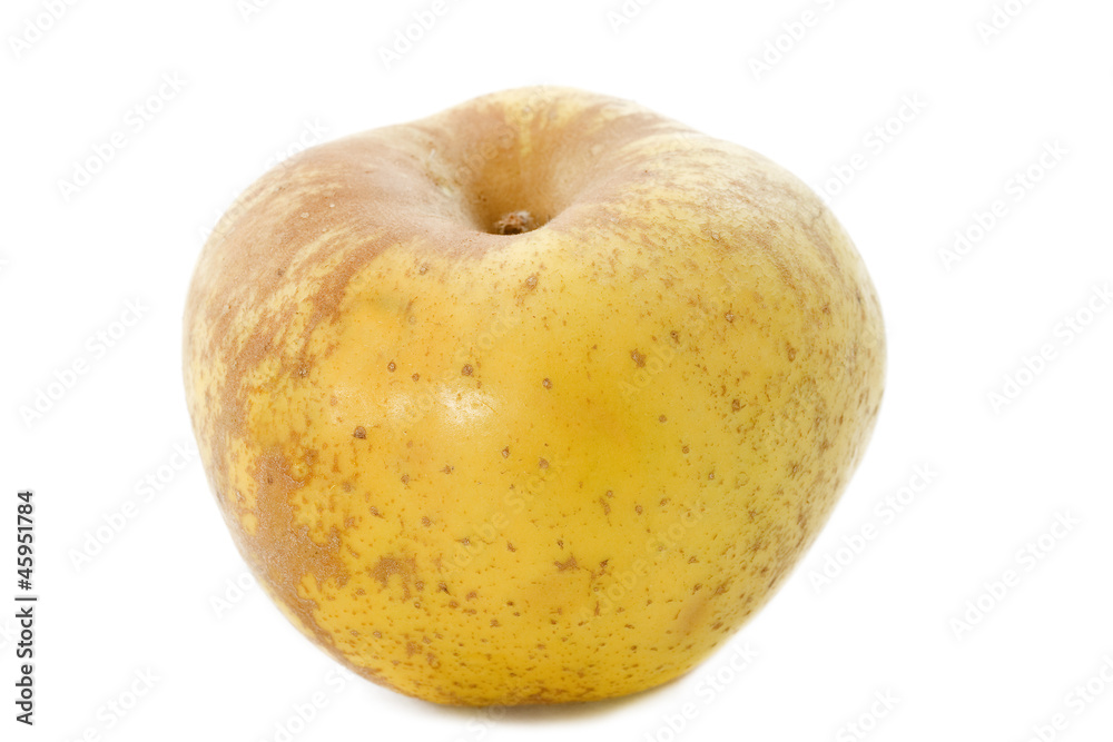 Golden russet apple Golden russet apple