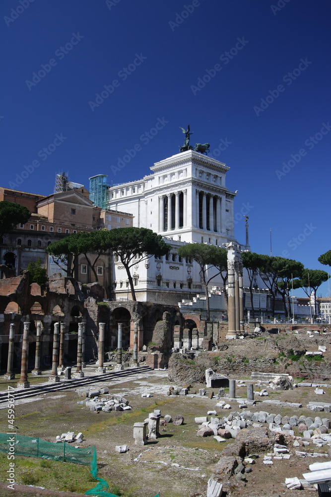 Fototapeta premium Forum