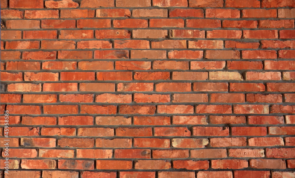 Fototapeta premium wall