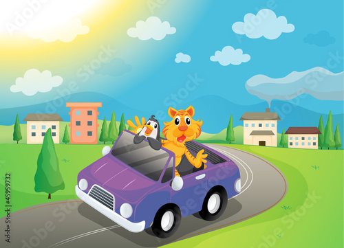 animals in car