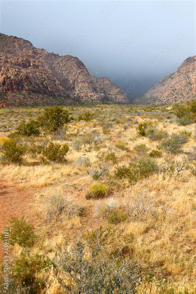 Red Rock Canyon National Conservation Area