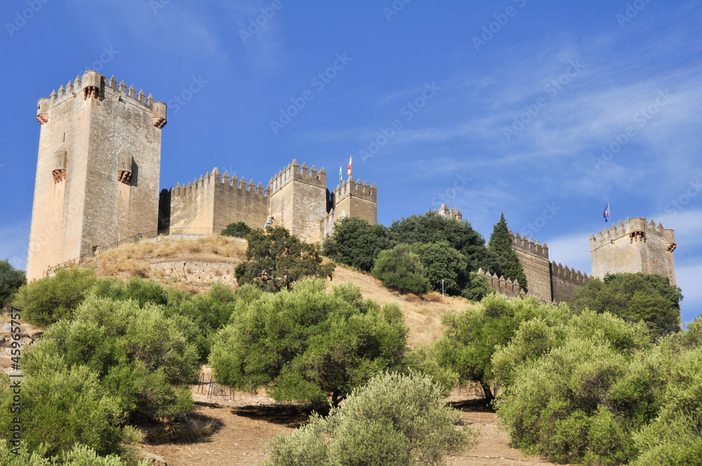 Almodovar del Rio castle, Spain