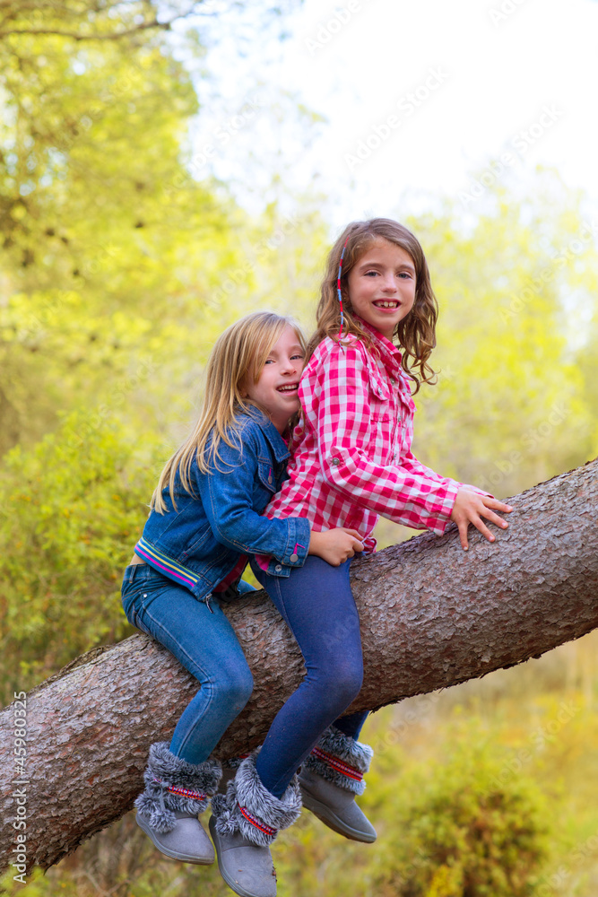 children friends girls climbing to a pine tree trunk children friends girls climbing to a pine tree trunk
