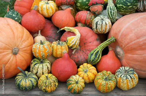 heap of many different pumpkins