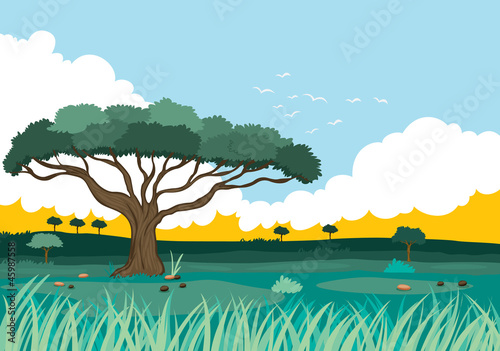 landscape