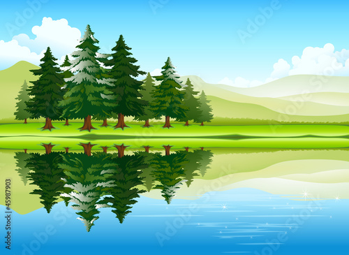 beautiful landscape