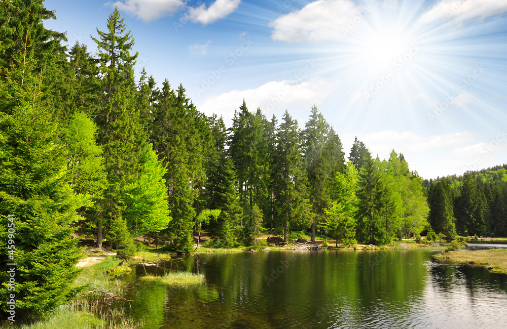 Fototapeta premium Small Arber Lake in National Park Bavarian Forest - Germany
