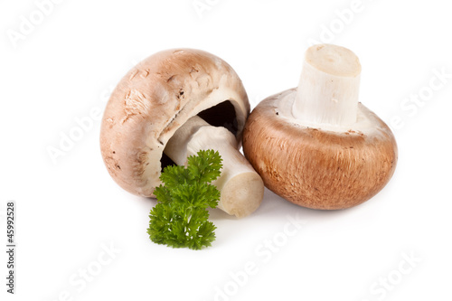 fresh mushrooms champignon isolated on white photo