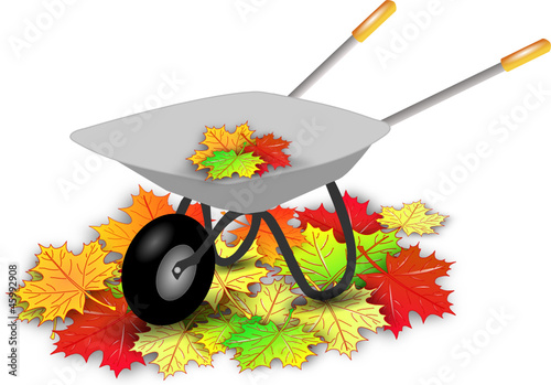Schubkarre Herbstlaub