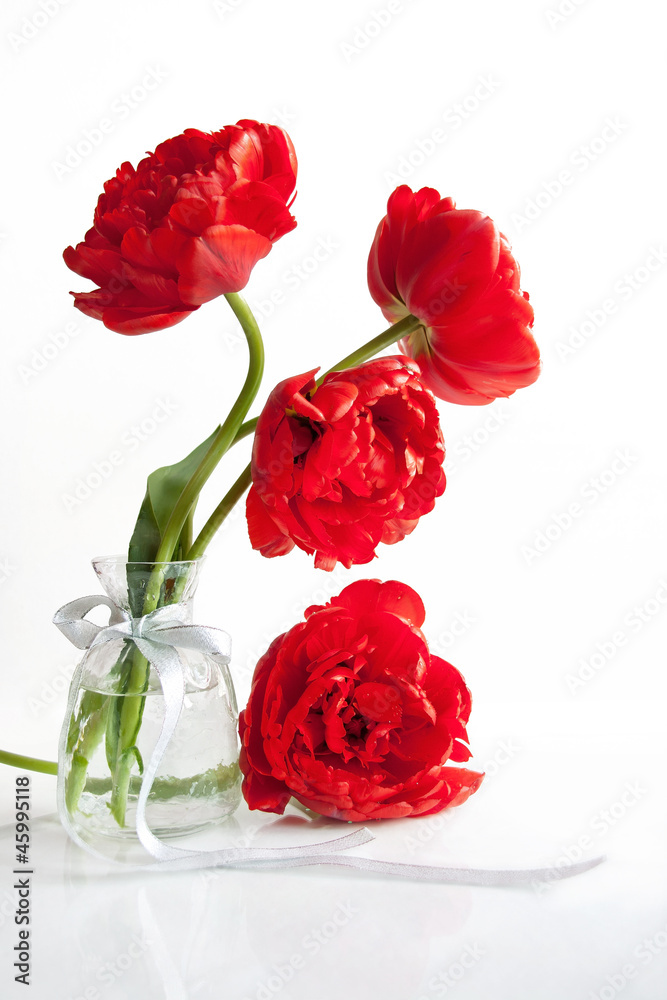 Fototapeta premium Scarlet tulips in a vase with silver ribbon