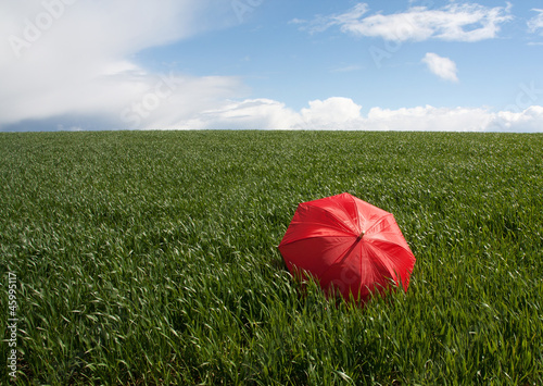 Red umbrella on the green meadow