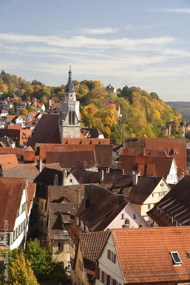 Tübingen im Herbst, Hochkant ooc