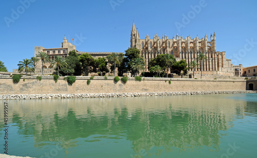 Le palais et la cath  drale de Palma de Majorque