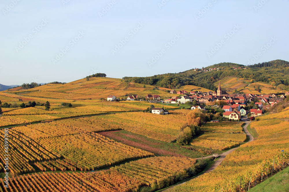 Niedermorschwihr dans les vignes Niedermorschwihr dans les vignes