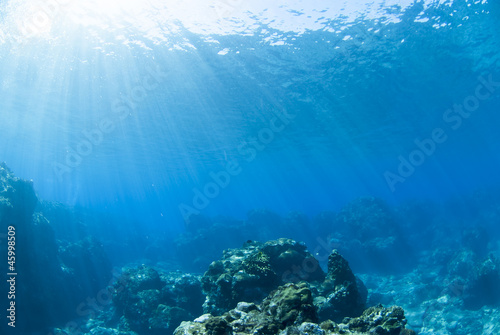 海底に差し込む光 © blueworldsender