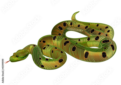 Beautiful green snake realistic