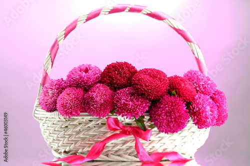 beautiful aster flowers in basket, on pink background photo