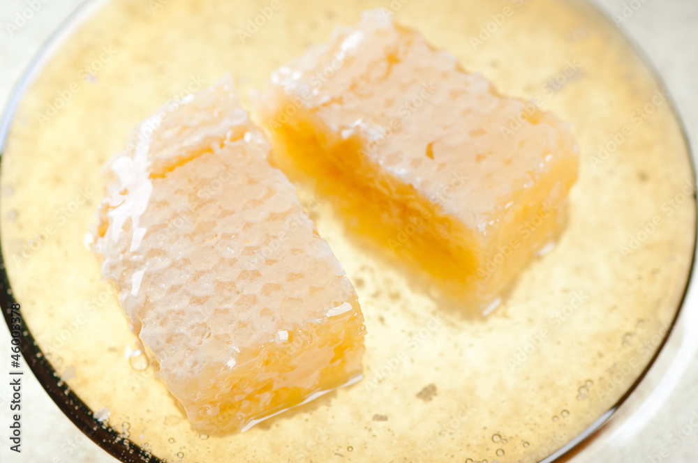 Honeycomb slices and honey on a plate, view from above