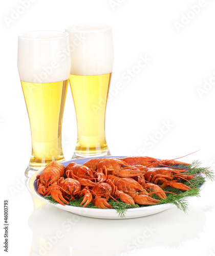 boiled crayfishes and beer isolated on white
