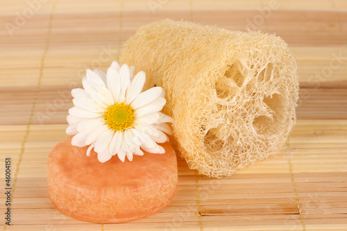 Obraz na płótnie Loofah on color background