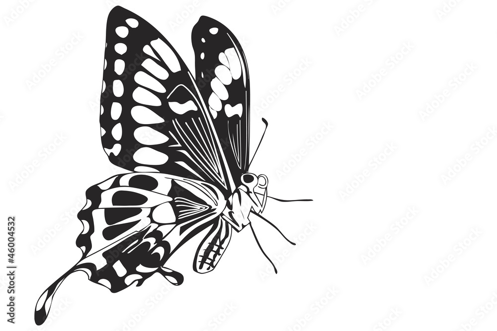 Foto Stylized butterfly
