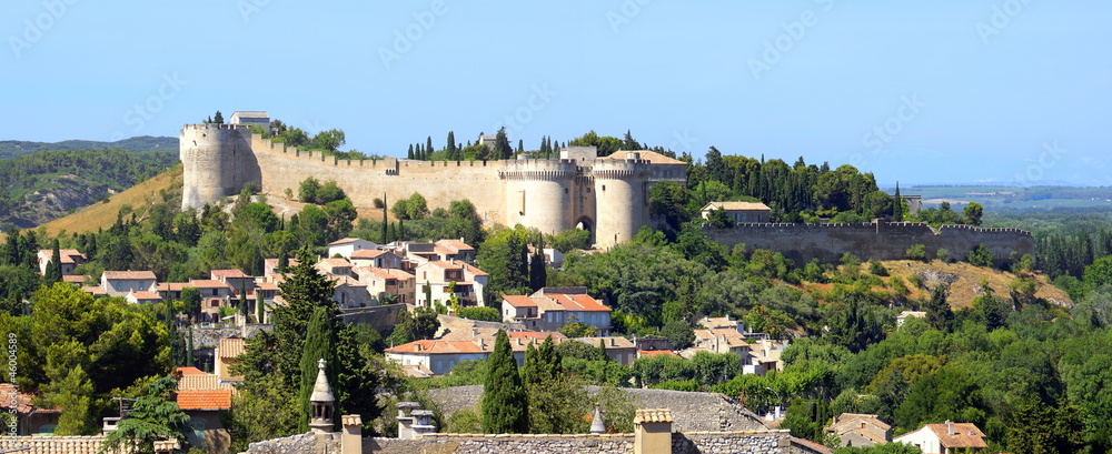 Εκτύπωση καμβά Fort Saint-André à Villeneuve-lès-Avignon