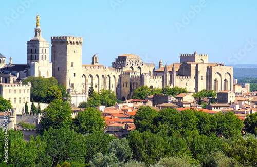 Résidence des papes à Avignon photo